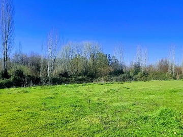 Imagen 12