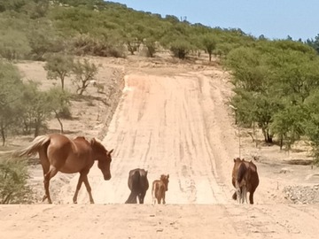 Imagen 6