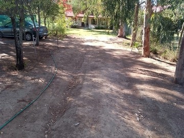 Imagen 16