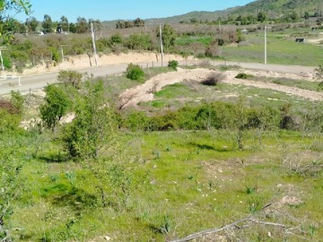 Imagen 26