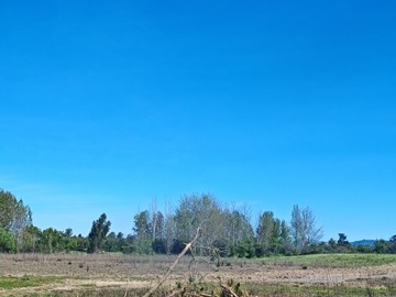 Imagen 14