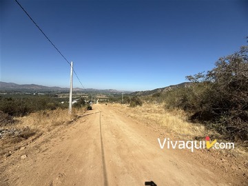 Imagen 21