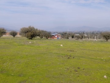Imagen 7