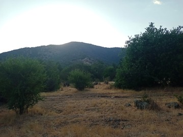 Venta / Parcela / Las Cabras