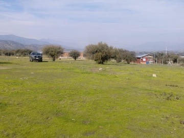 Imagen 11