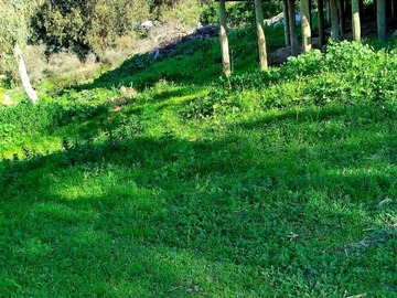 Venta / Parcela / Las Cabras