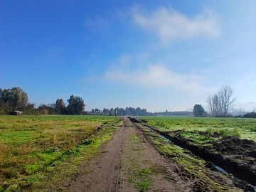 Venta / Parcela / Las Cabras