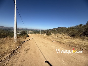 Imagen 12