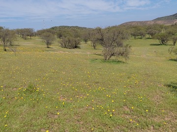 Venta / Parcela / Las Cabras