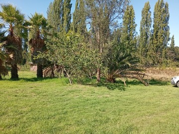 Imagen 4