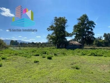 Venta / Parcela / Las Cabras