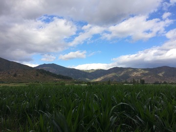 Venta / Parcela / Las Cabras