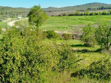 Imagen 28