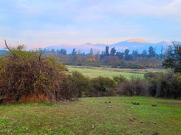 Imagen 14