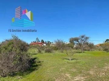 Imagen 7