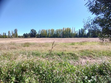 Imagen 14