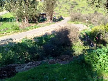 Imagen 9