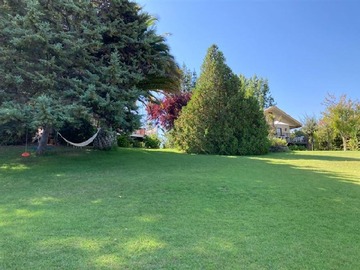 Venta / Parcela / Las Cabras