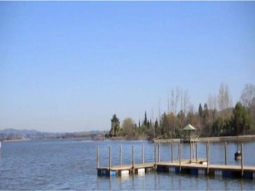 Venta / Parcela / Las Cabras