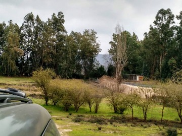 Venta / Parcela / Las Cabras