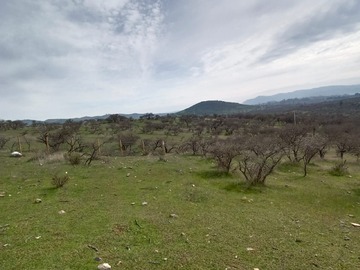 Imagen 11