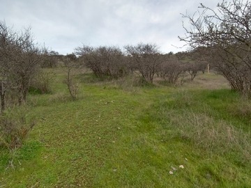 Imagen 8