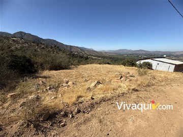 Imagen 5