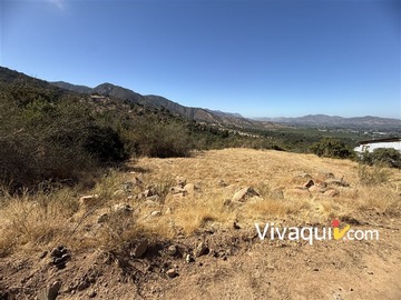 Imagen 7