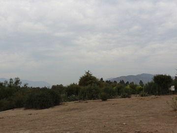 Venta / Parcela / Las Cabras