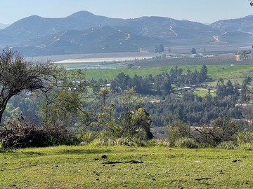 Venta / Parcela / Las Cabras