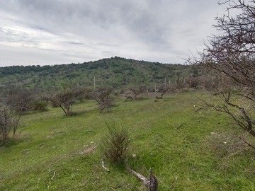 Imagen 9