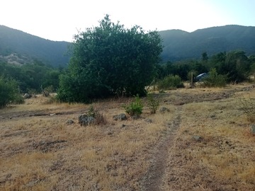 Imagen 12