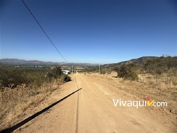 Imagen 11