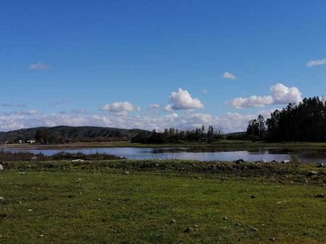 Venta / Parcela / Las Cabras