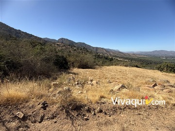 Imagen 6