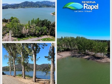 Venta / Parcela / Las Cabras