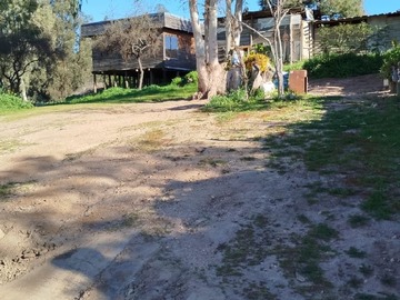 Imagen 12