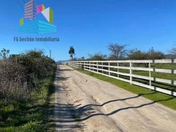 Venta / Parcela / Las Cabras