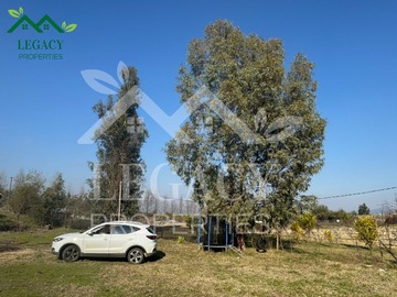 Imagen 5