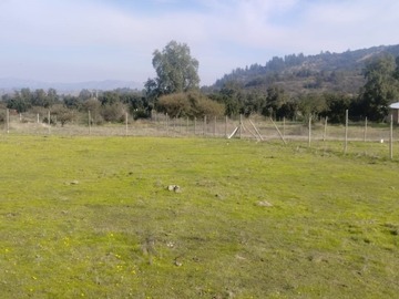 Imagen 9