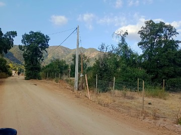 Imagen 16