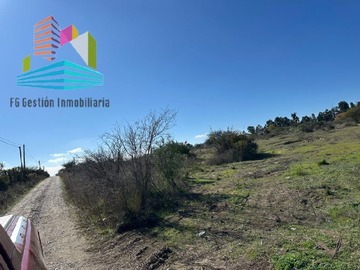 Venta / Parcela / Las Cabras