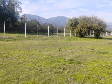 Imagen 8