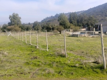 Imagen 10