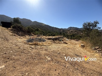 Imagen 20
