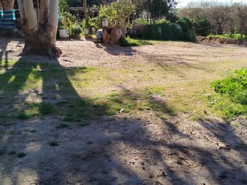 Imagen 7