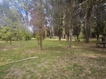 Imagen 9