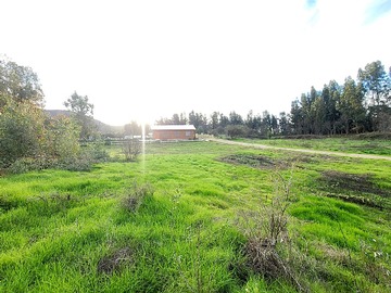 Imagen 9