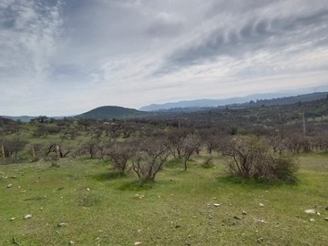 Imagen 12