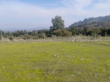 Imagen 6